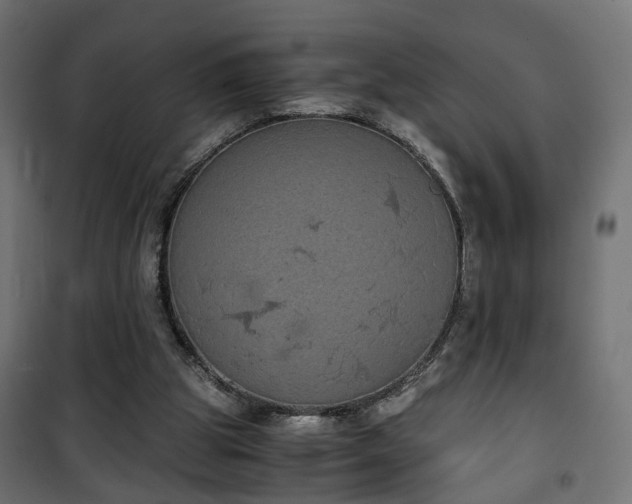 X0000101390153200807141141