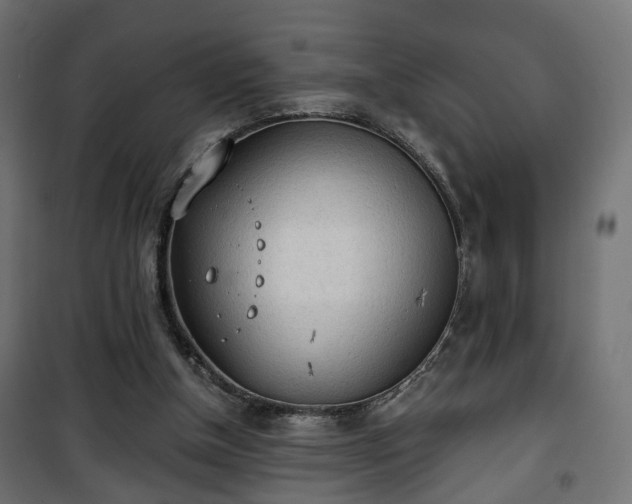 X0000101390154200807141141