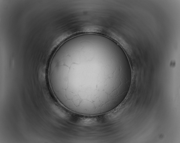 X0000101390155200807141141