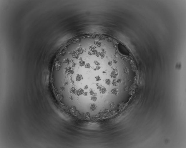 X0000101390157200807141141