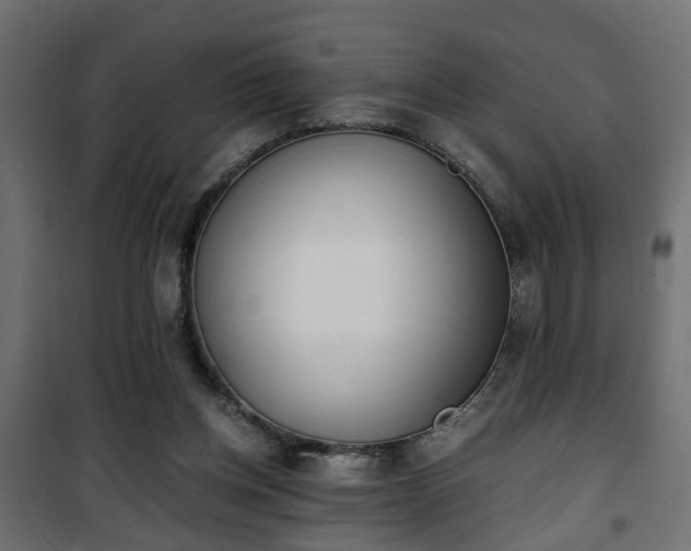 X0000101390158200807141141