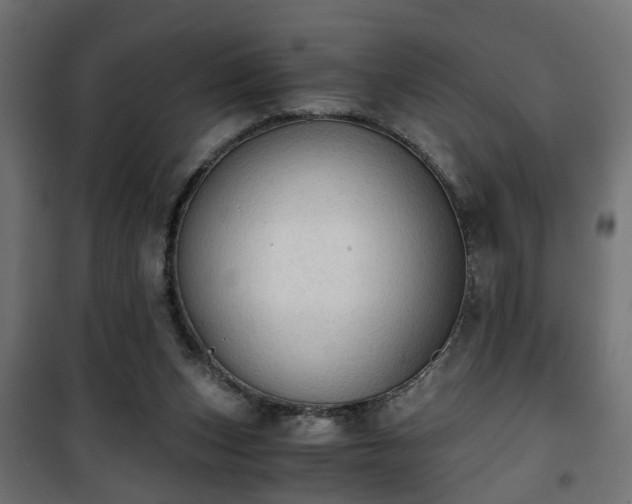 X0000101390159200807141141