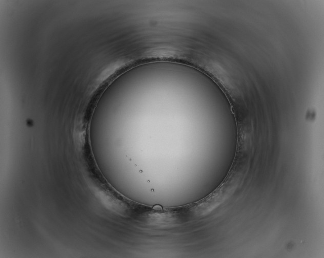 X0000101390160200807141141