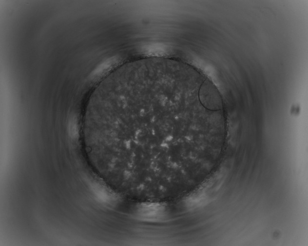 X0000101390161200807141141