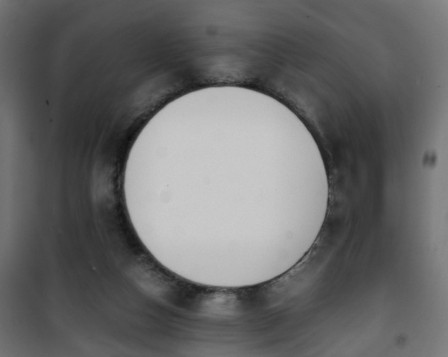 X0000101390162200807141141