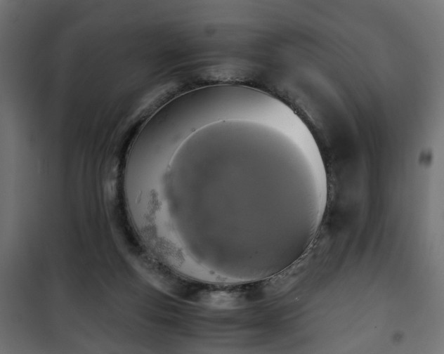 X0000101390163200807141141