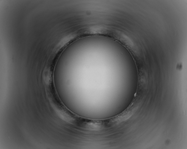 X0000101390164200807141141