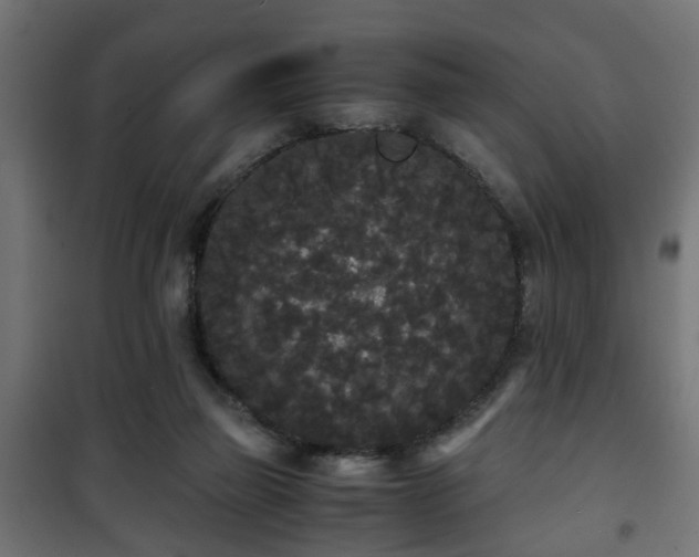 X0000101390165200807141141