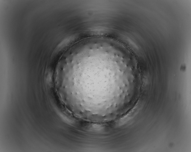 X0000101390166200807141141