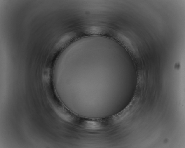 X0000101390167200807141141