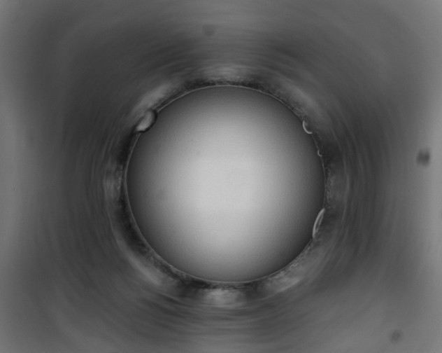 X0000101390168200807141141