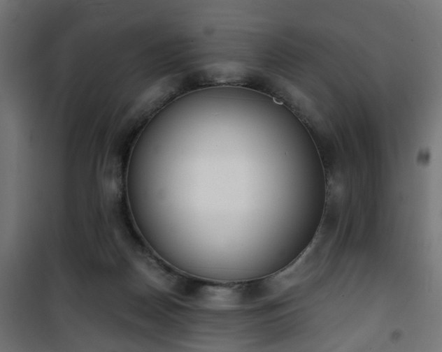 X0000101390170200807141141