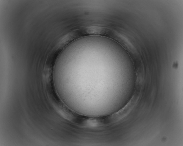 X0000101390171200807141141