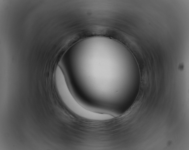 X0000101390172200807141141