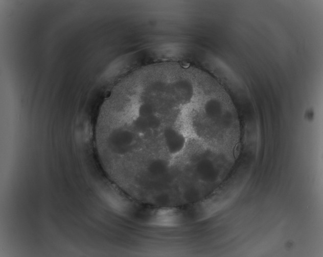 X0000101390173200807141141