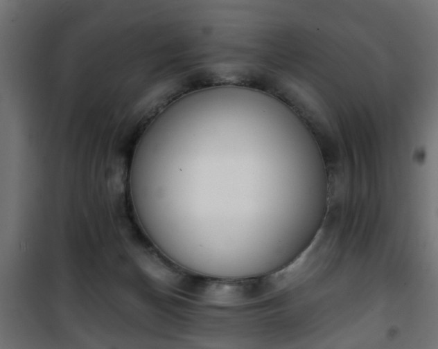 X0000101390174200807141141