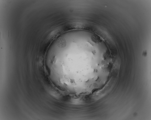 X0000101390175200807141141