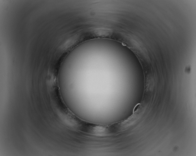 X0000101390176200807141141