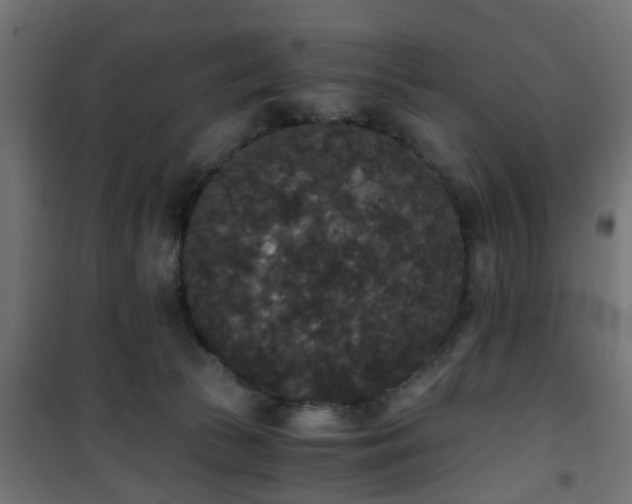 X0000101390177200807141141