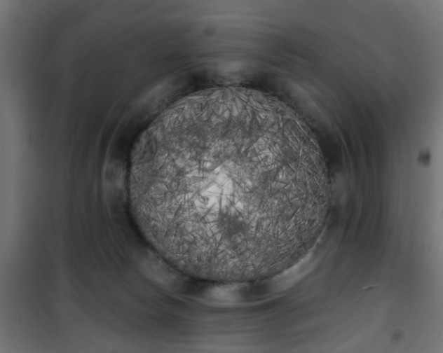 X0000101390178200807141141