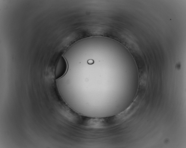 X0000101390179200807141141