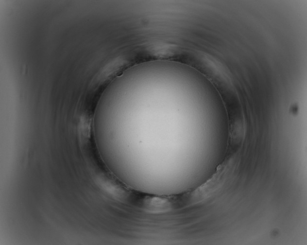 X0000101390180200807141141