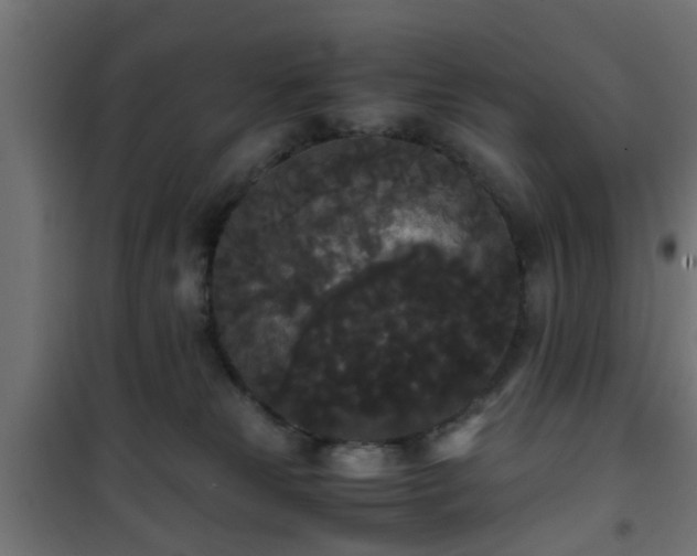 X0000101390181200807141141