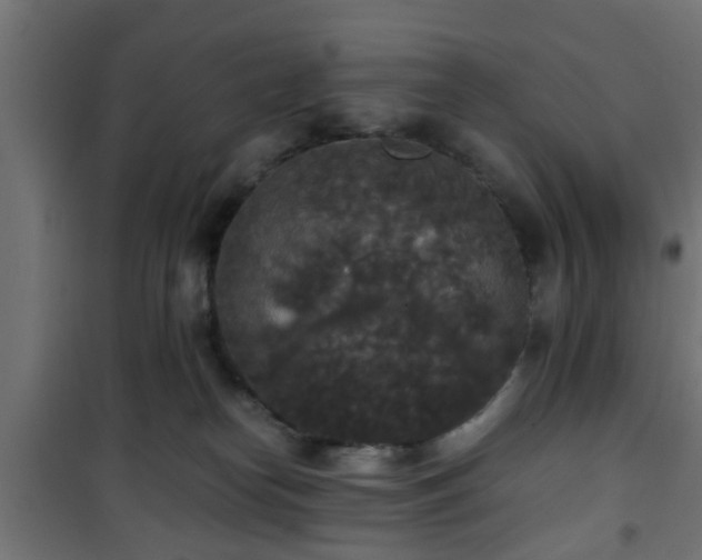 X0000101390182200807141141