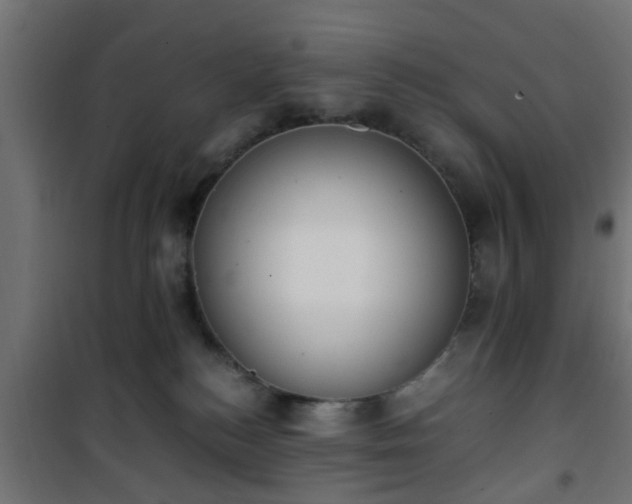 X0000101390184200807141141