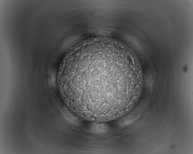 X0000101390185200807141141