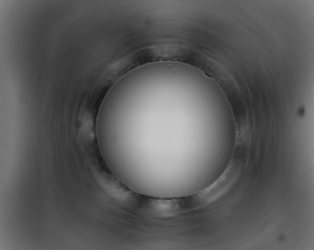 X0000101390187200807141141