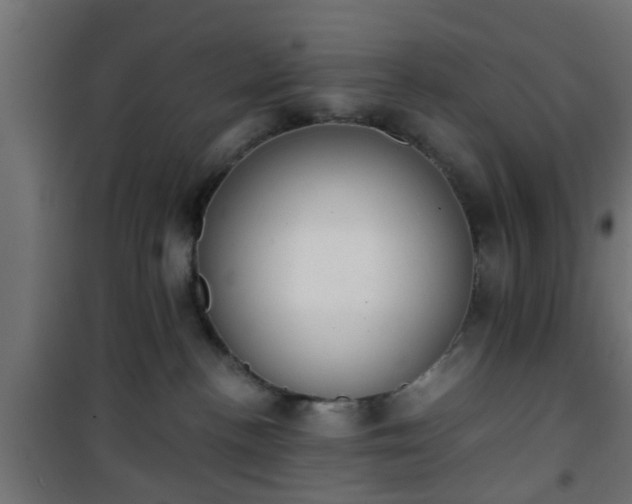 X0000101390188200807141141