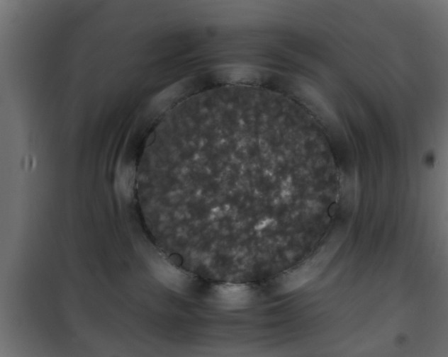 X0000101390189200807141141