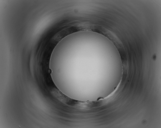 X0000101390190200807141141