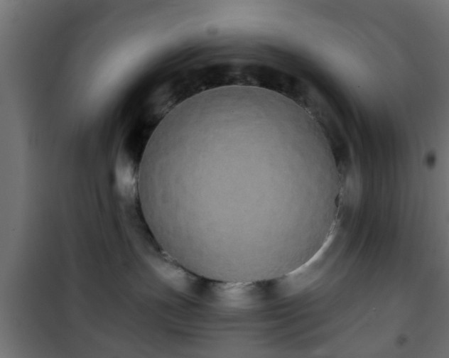 X0000101390191200807141141