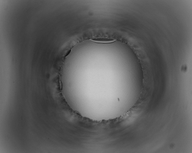 X0000101390192200807141141