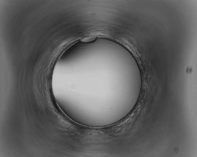 X0000101390193200807141141