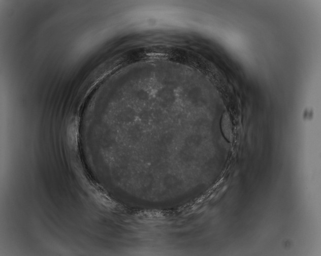 X0000101390194200807141141