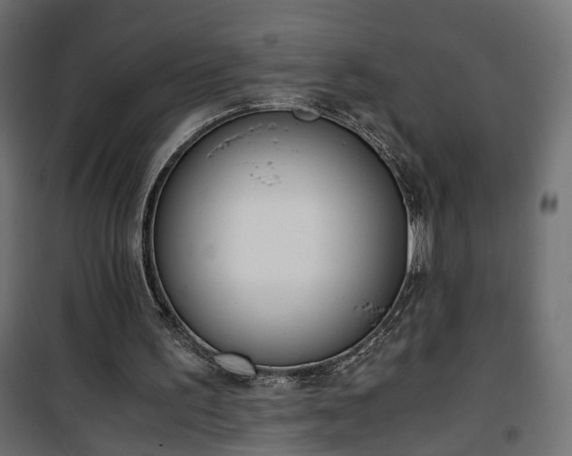 X0000101390195200807141141