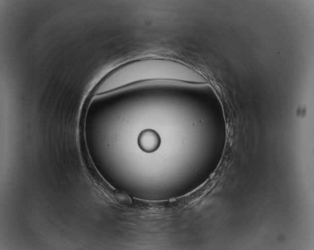 X0000101390196200807141141