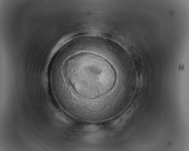 X0000101390198200807141141