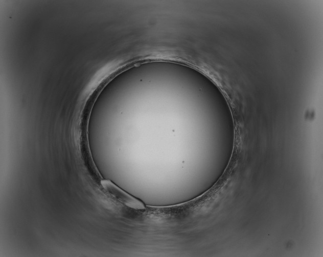 X0000101390199200807141141