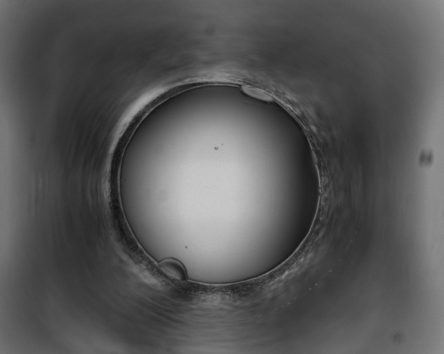 X0000101390200200807141141