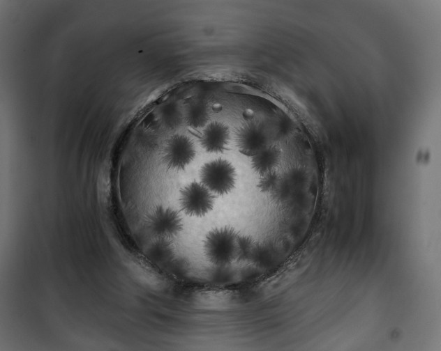 X0000101390202200807141141