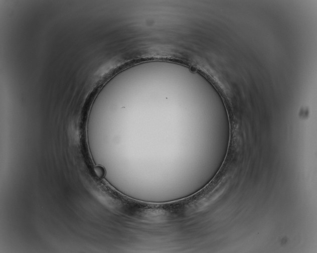 X0000101390203200807141140