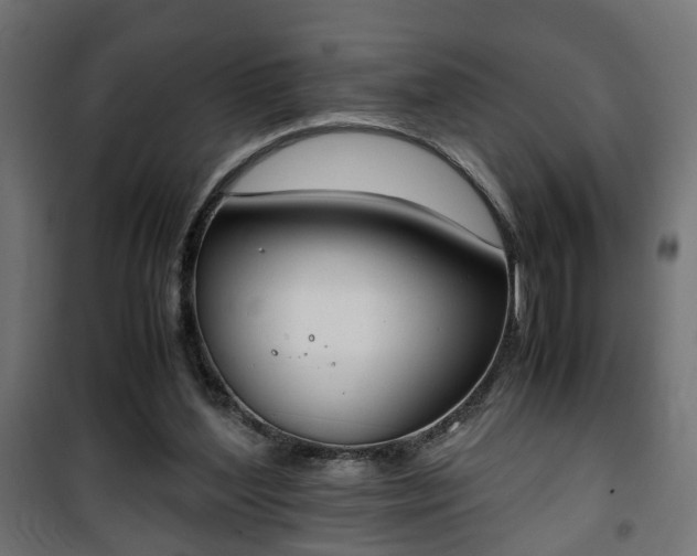 X0000101390204200807141140