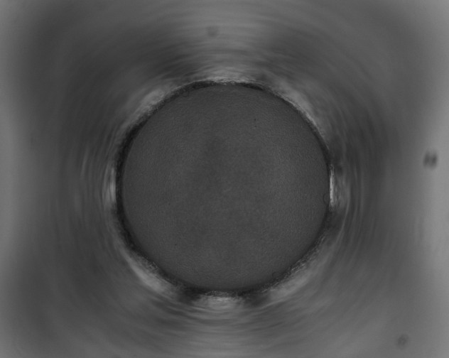 X0000101390205200807141140