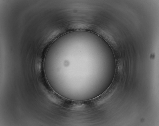 X0000101390206200807141140