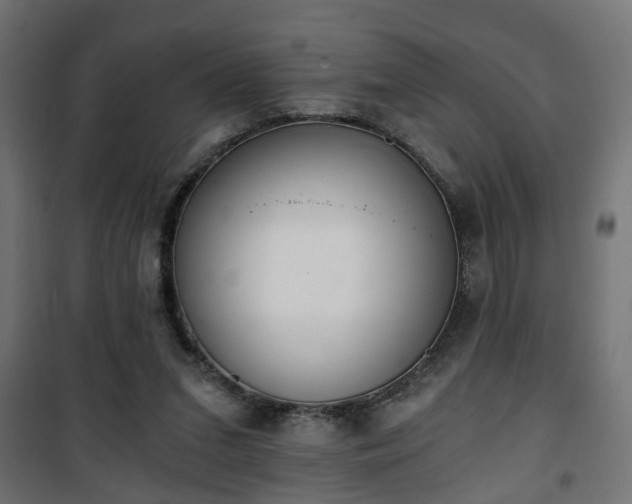 X0000101390207200807141140