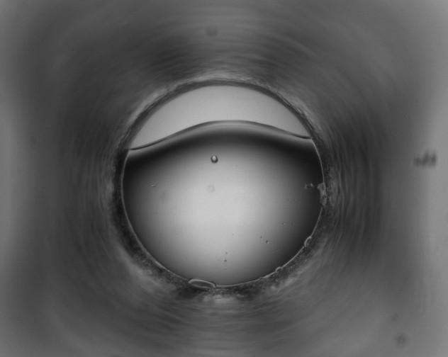 X0000101390208200807141140